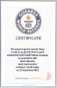 Guinness World Records (2021) - Image