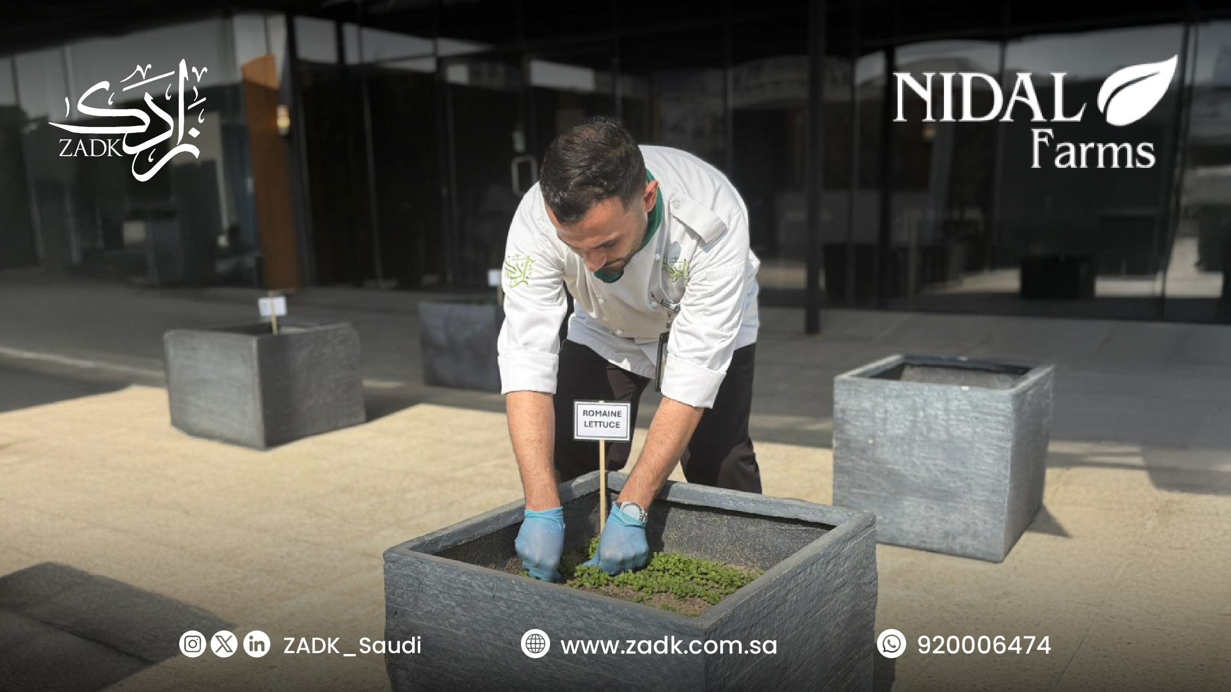 Cultivating Sustainability with Our Partners